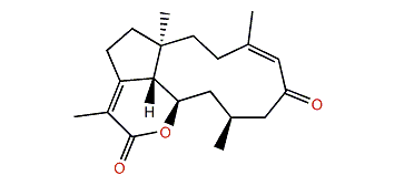 Clavirolide D